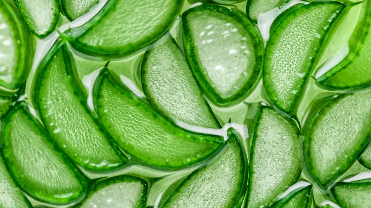 Aloe Vera Soother: