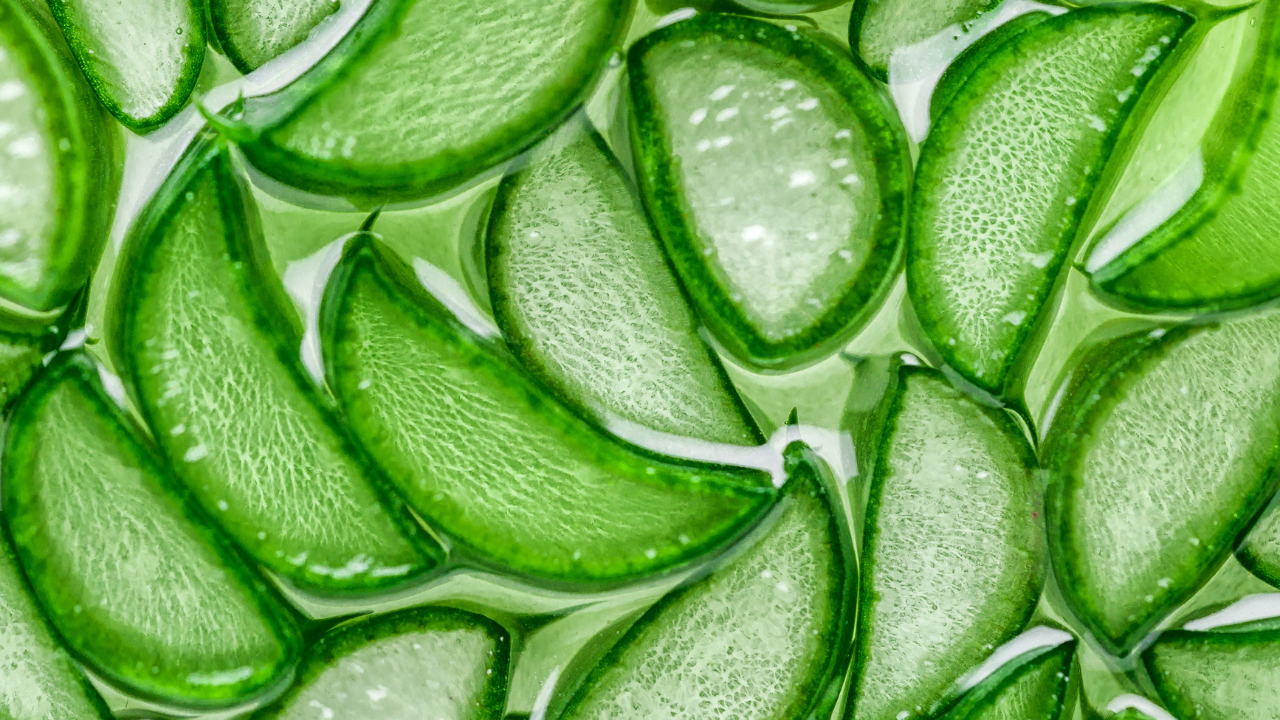 Aloe Vera Soother: