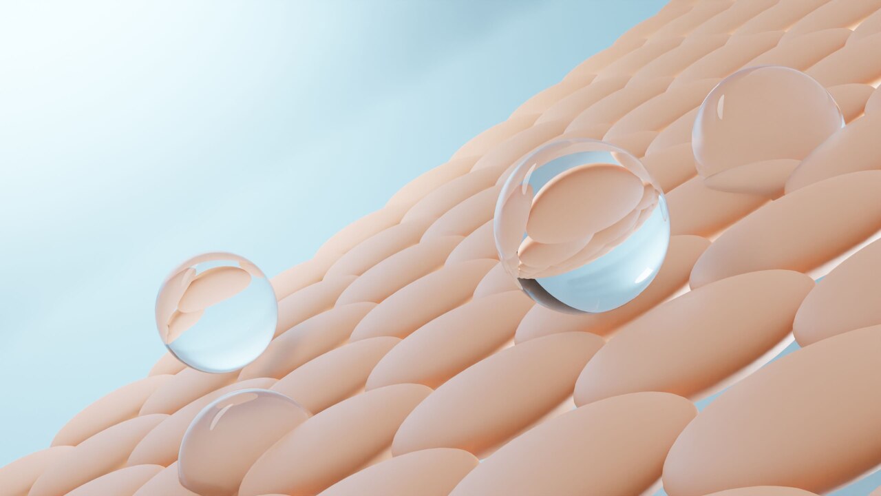 The core pillars of cellness