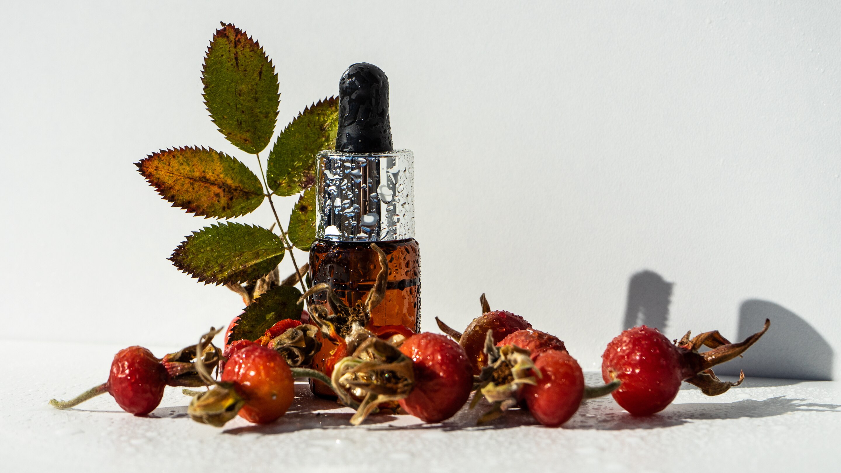 What Is Rosehip Oil?