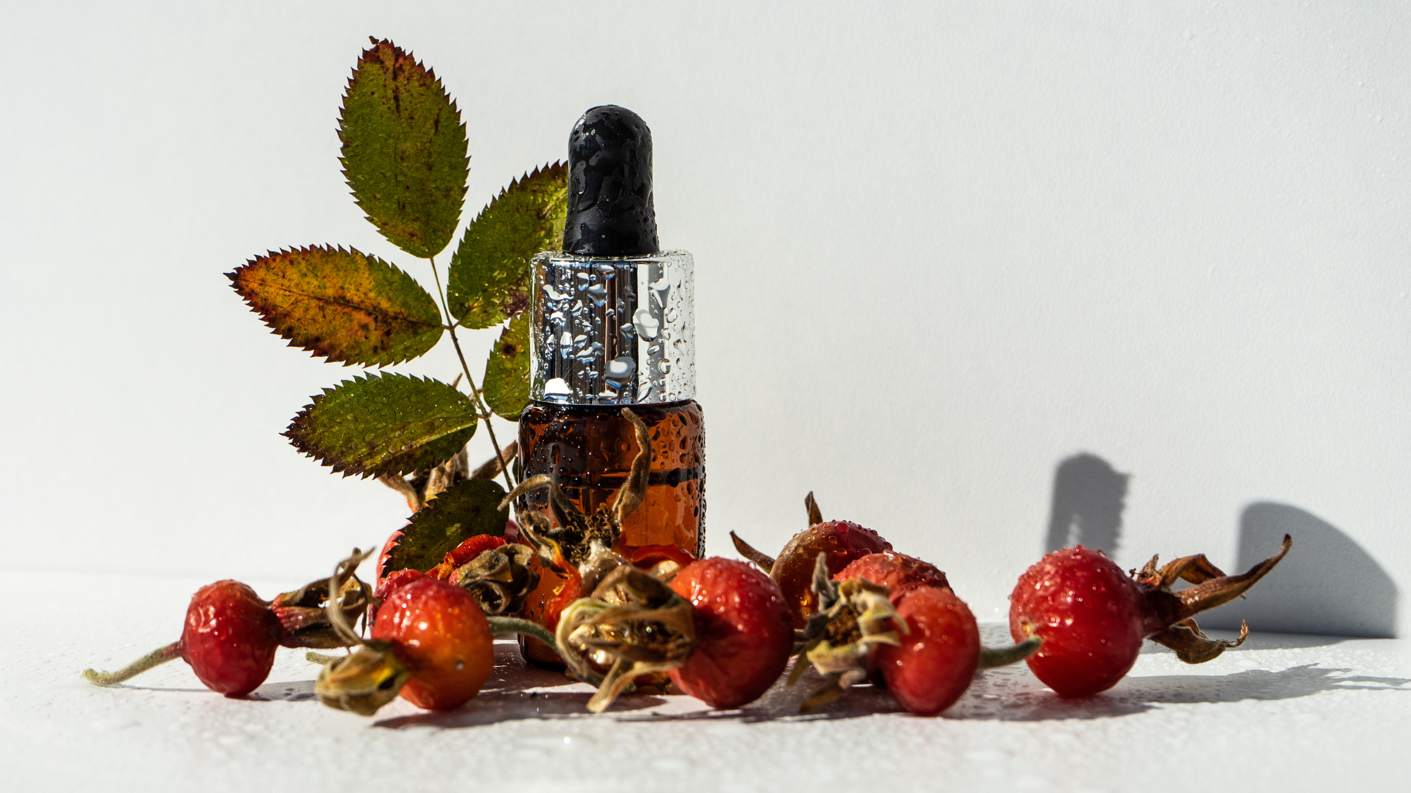 What Is Rosehip Oil?