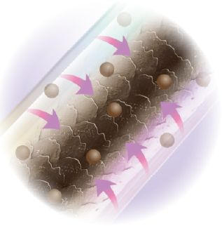 banner showing the fregrance for each variants