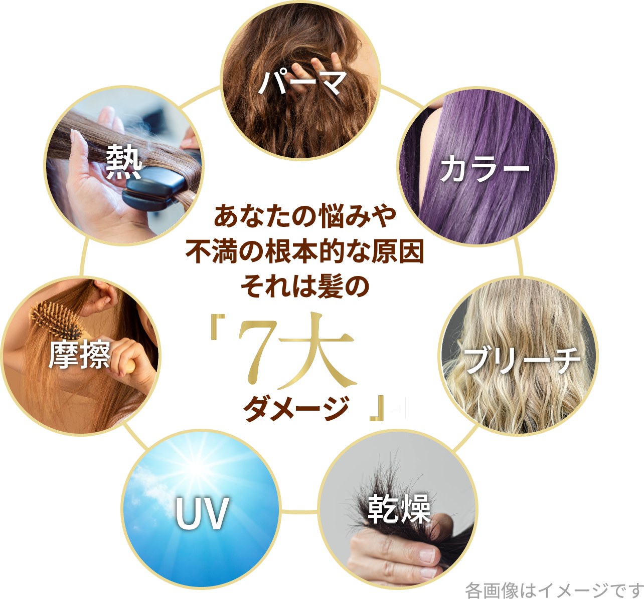 Campaign banner suggests the proportion of people who understand the hair concern