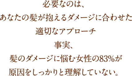 Campaign banner suggests the proportion of people who understand the hair concern