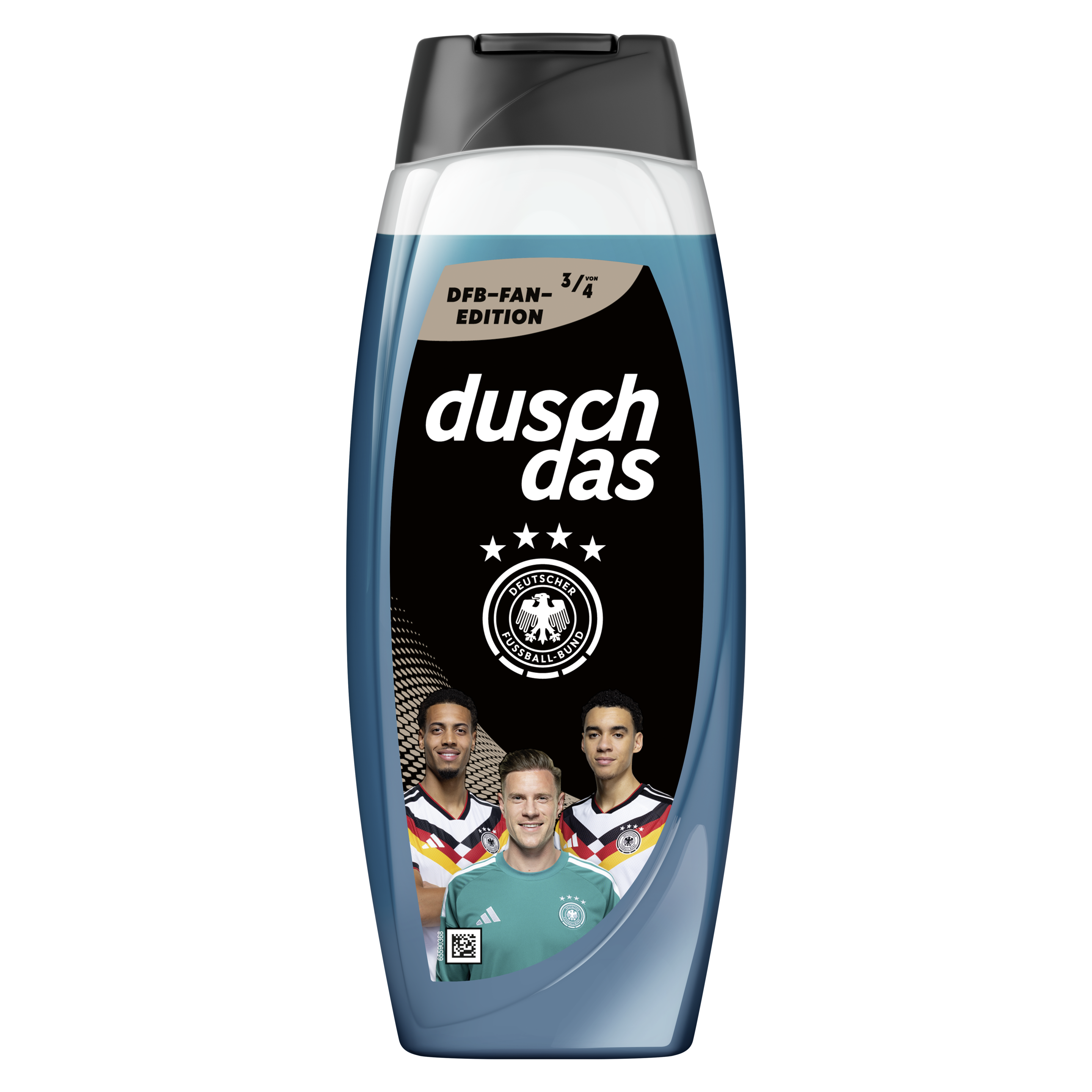 DFB Fan-Edition