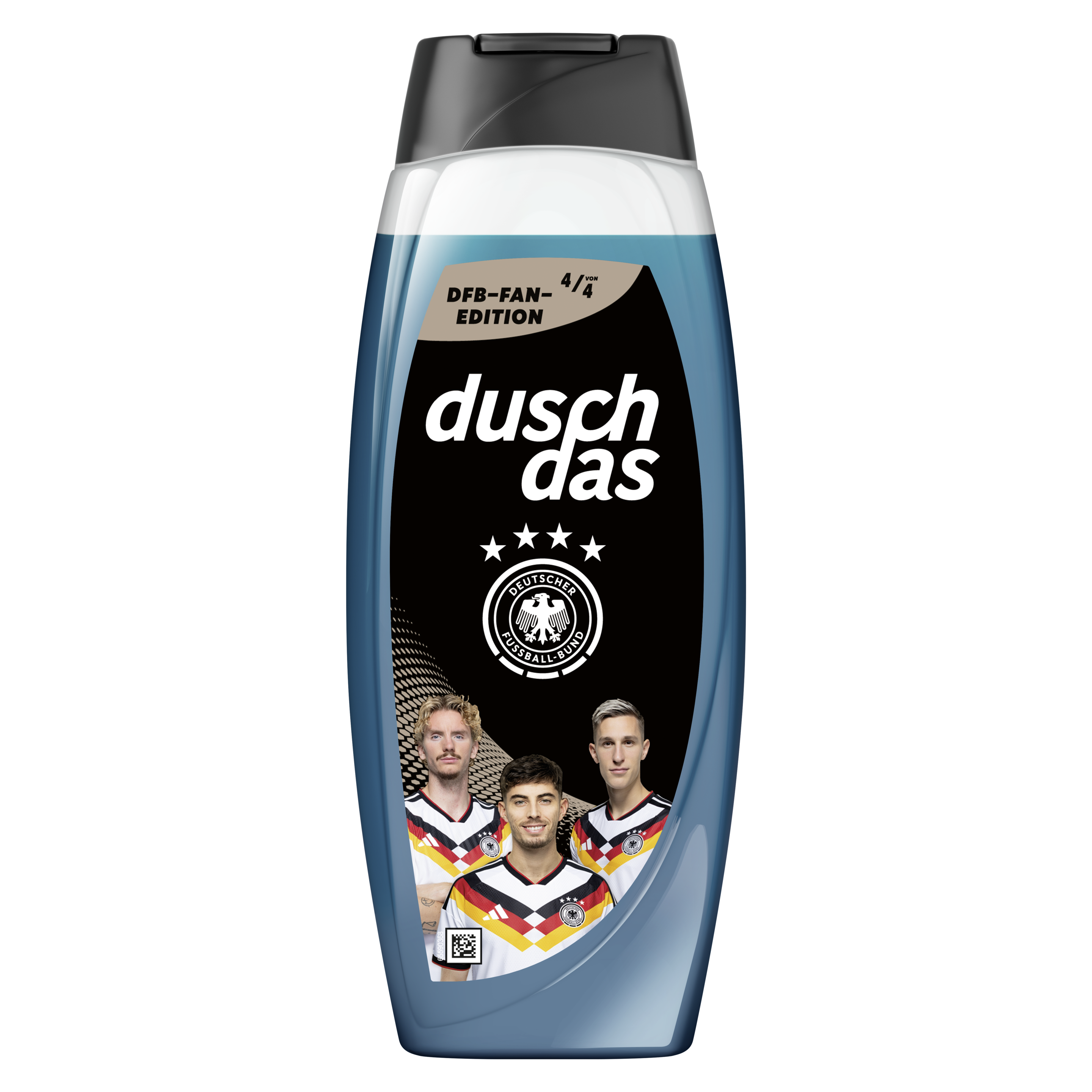 DFB Fan-Edition