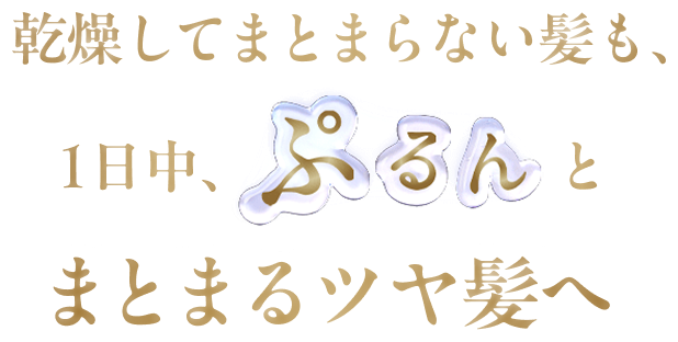 乾燥してまとまらない髪も、1日中、ぷるんとまとまるツヤ髪へ