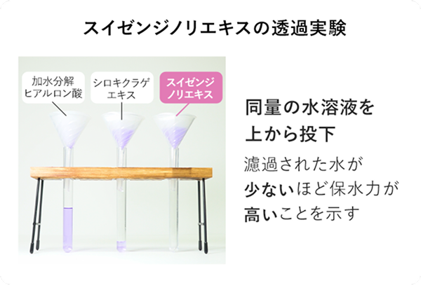 高い保水力を持つスイゼンジノリエキス配合