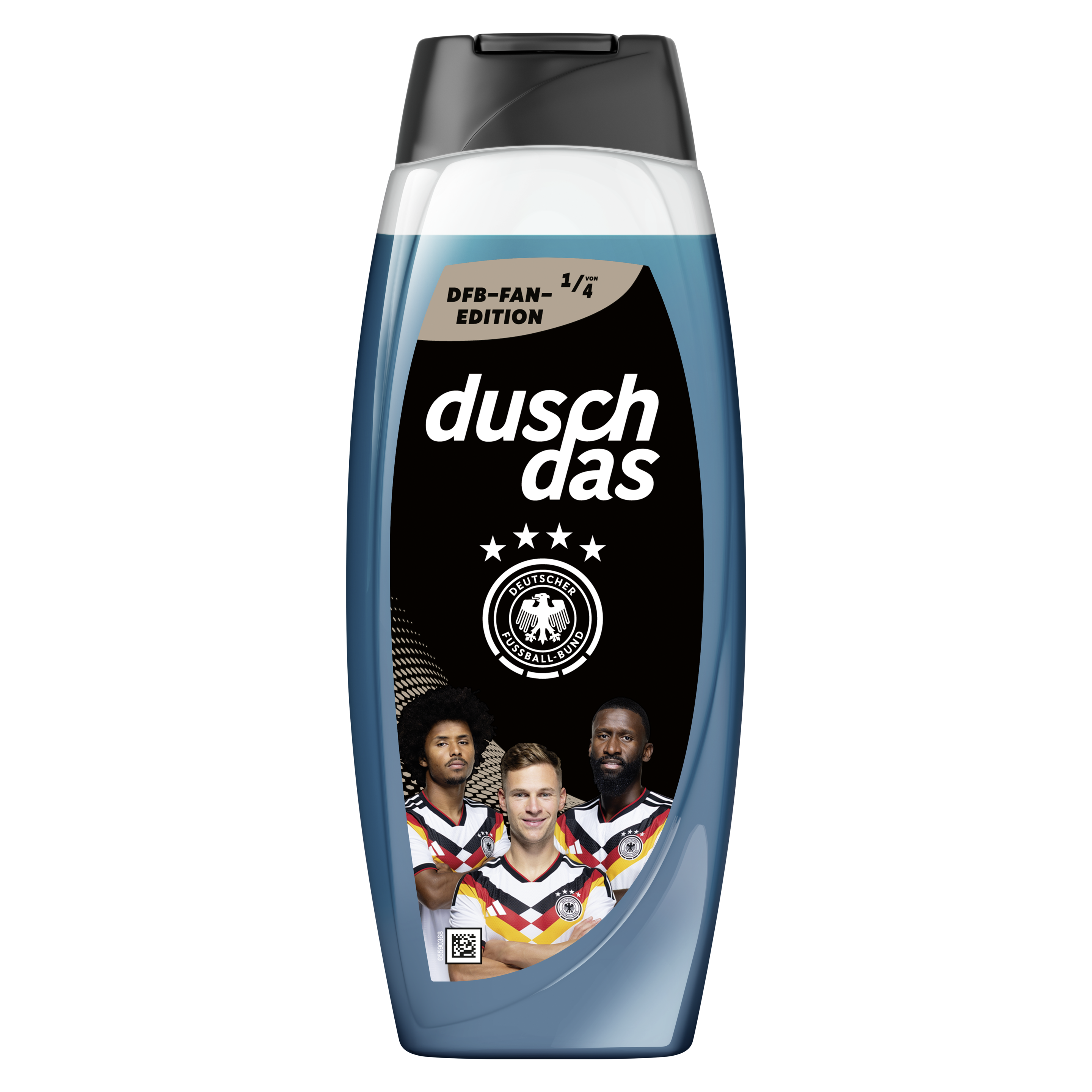 DFB Fan-Edition