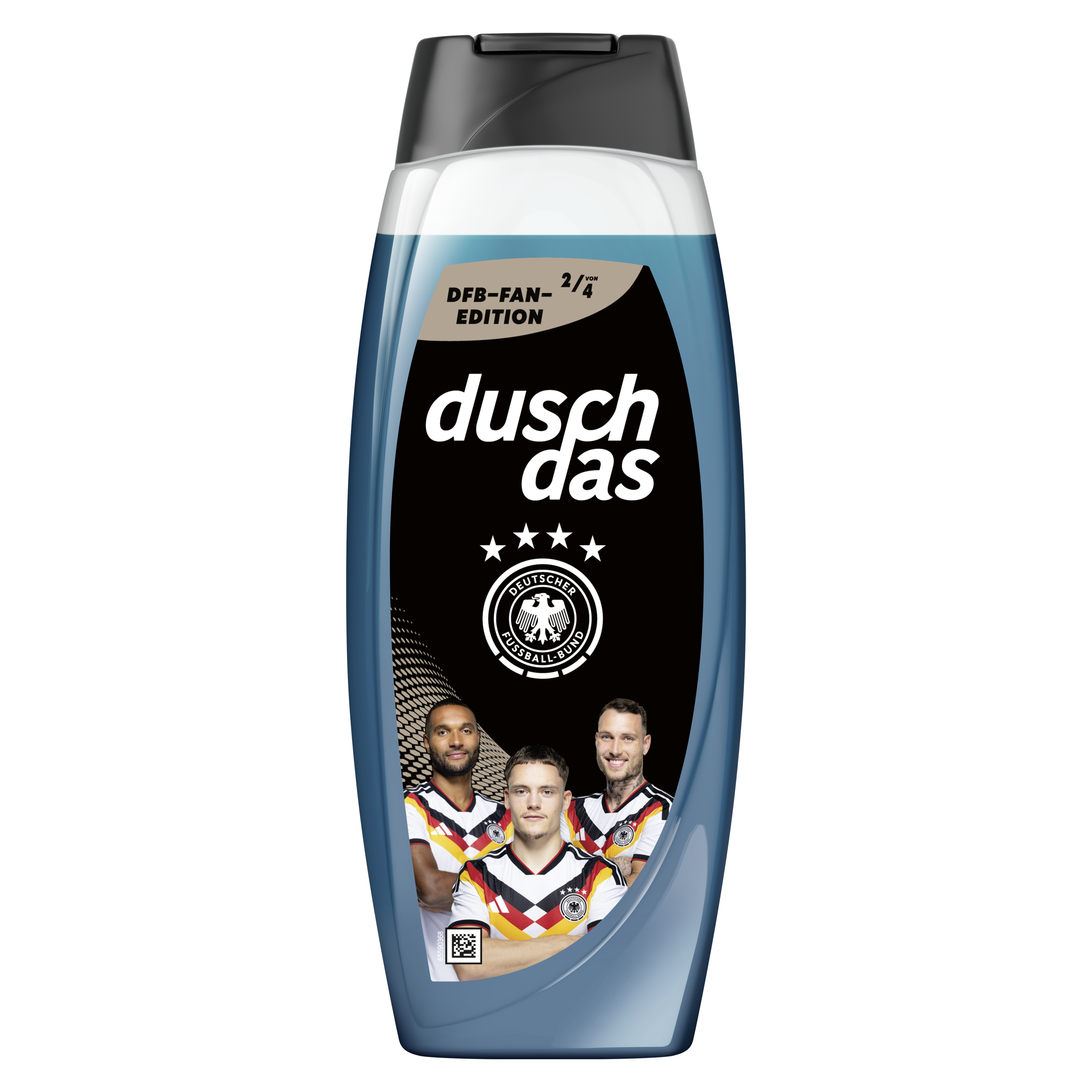 DFB Fan-Edition