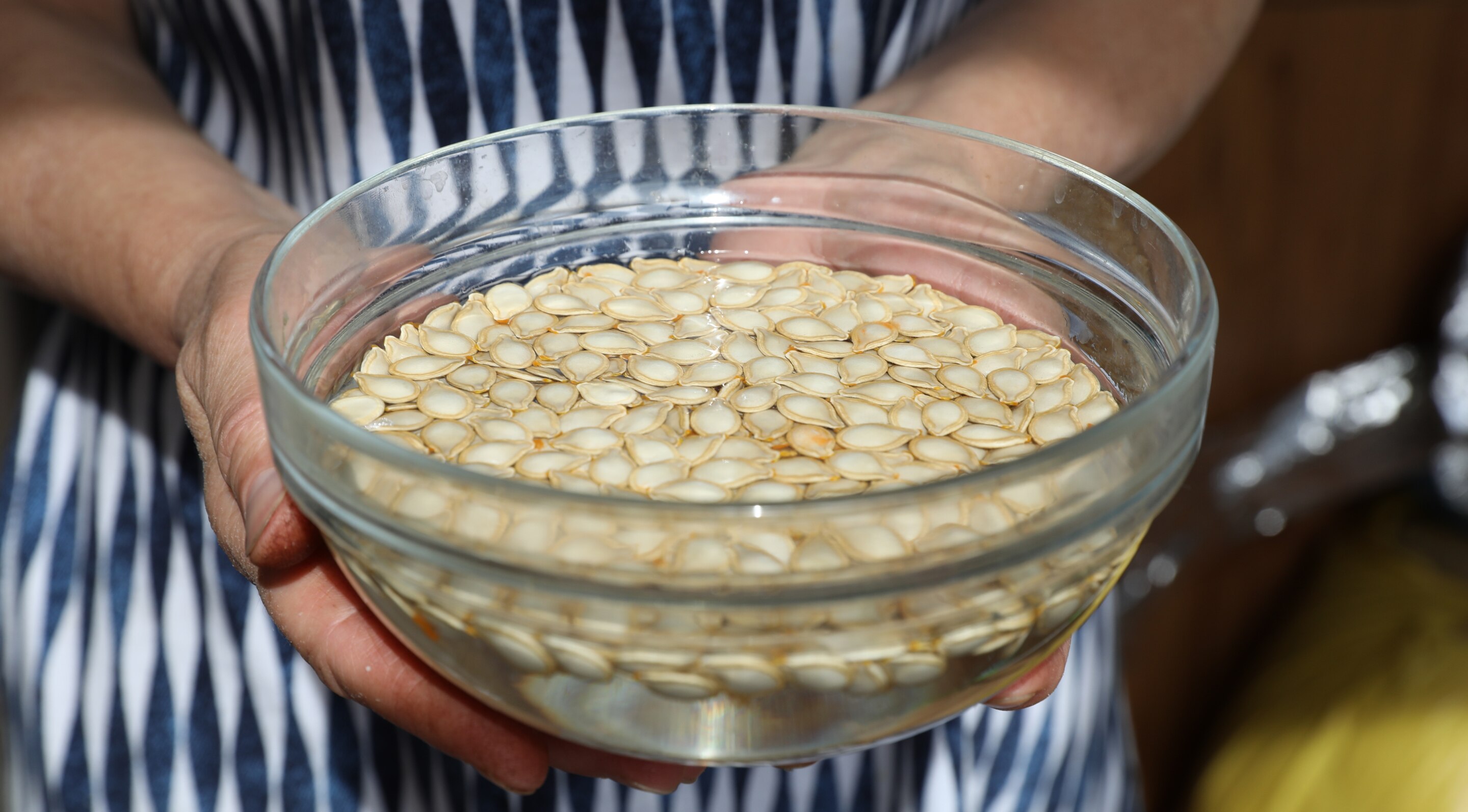 Soaked Seeds