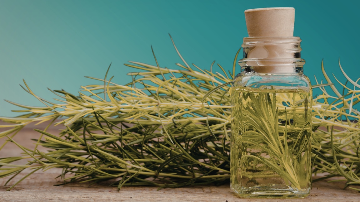 Rosemary Water for Hair Growth Benefits and Uses