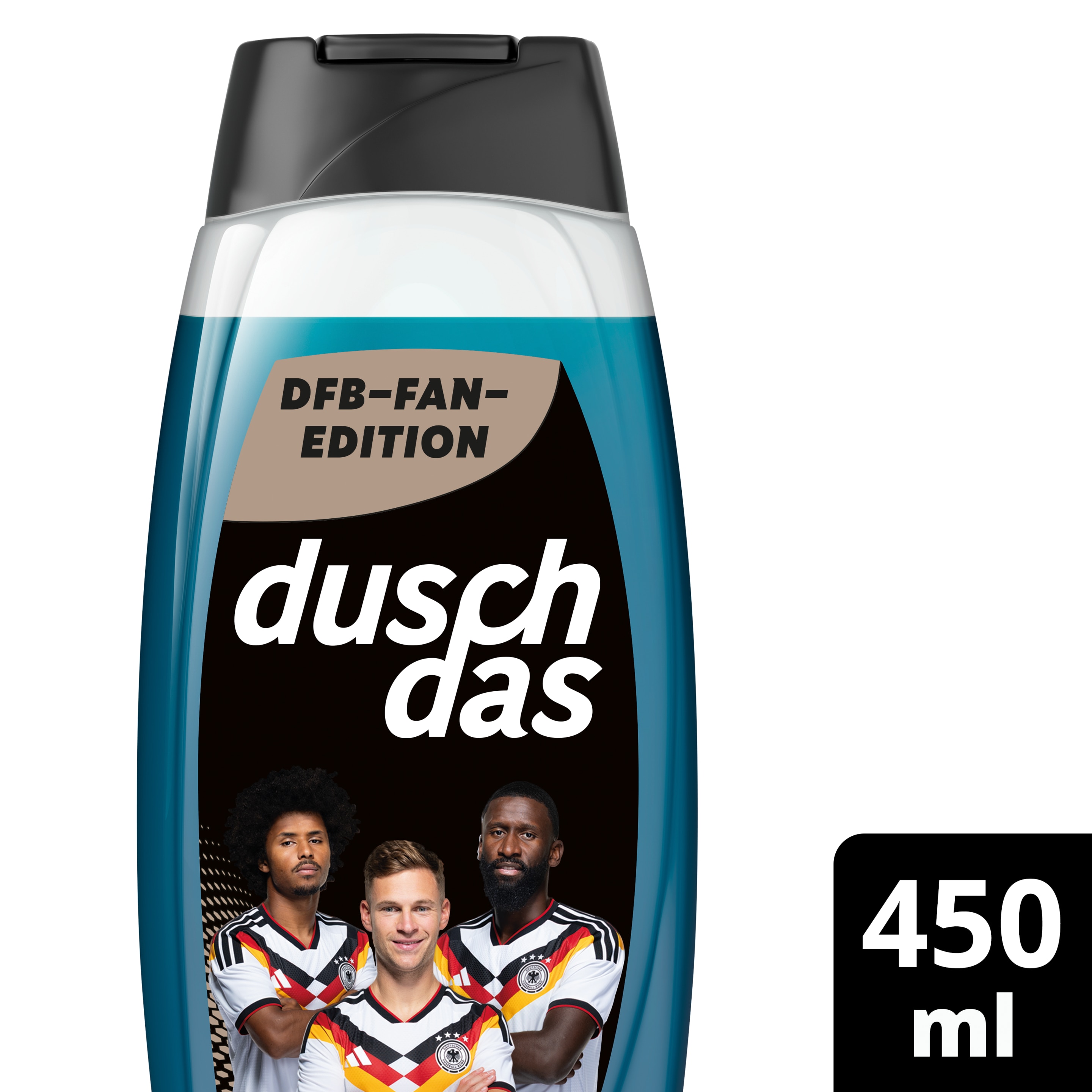 DFB Fan-Edition