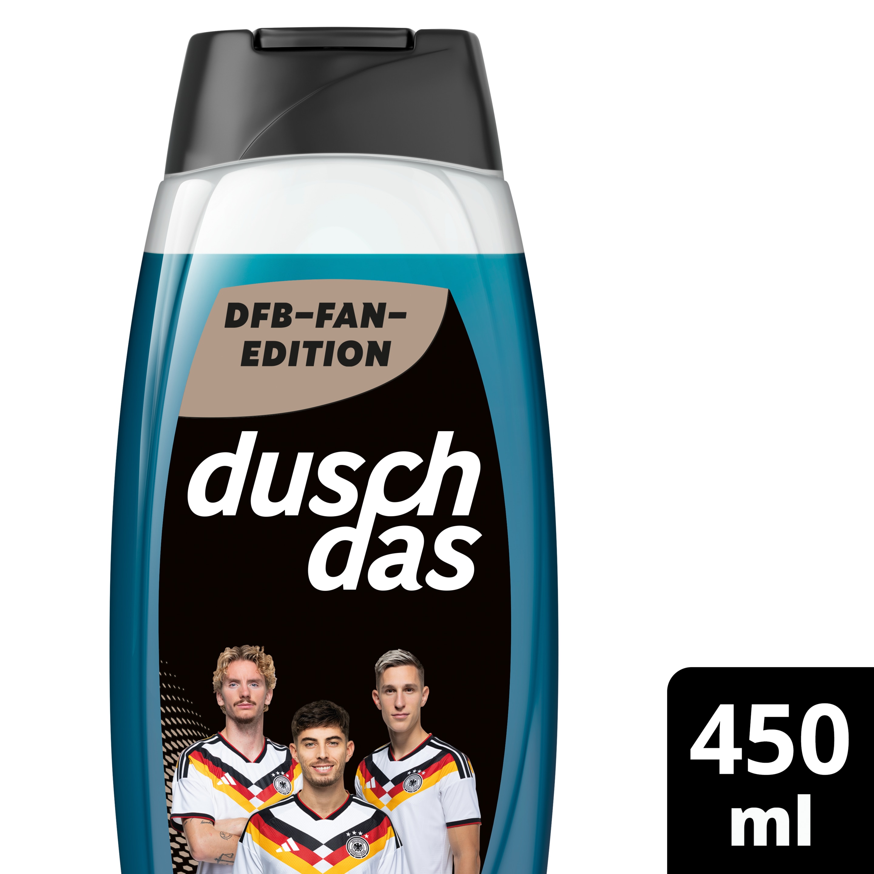 DFB Fan-Edition