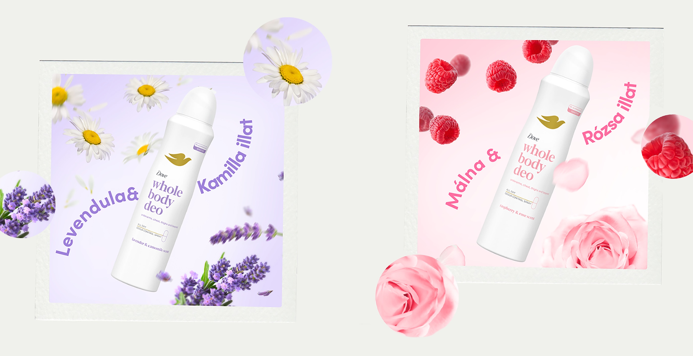 Teljes test dezodorok