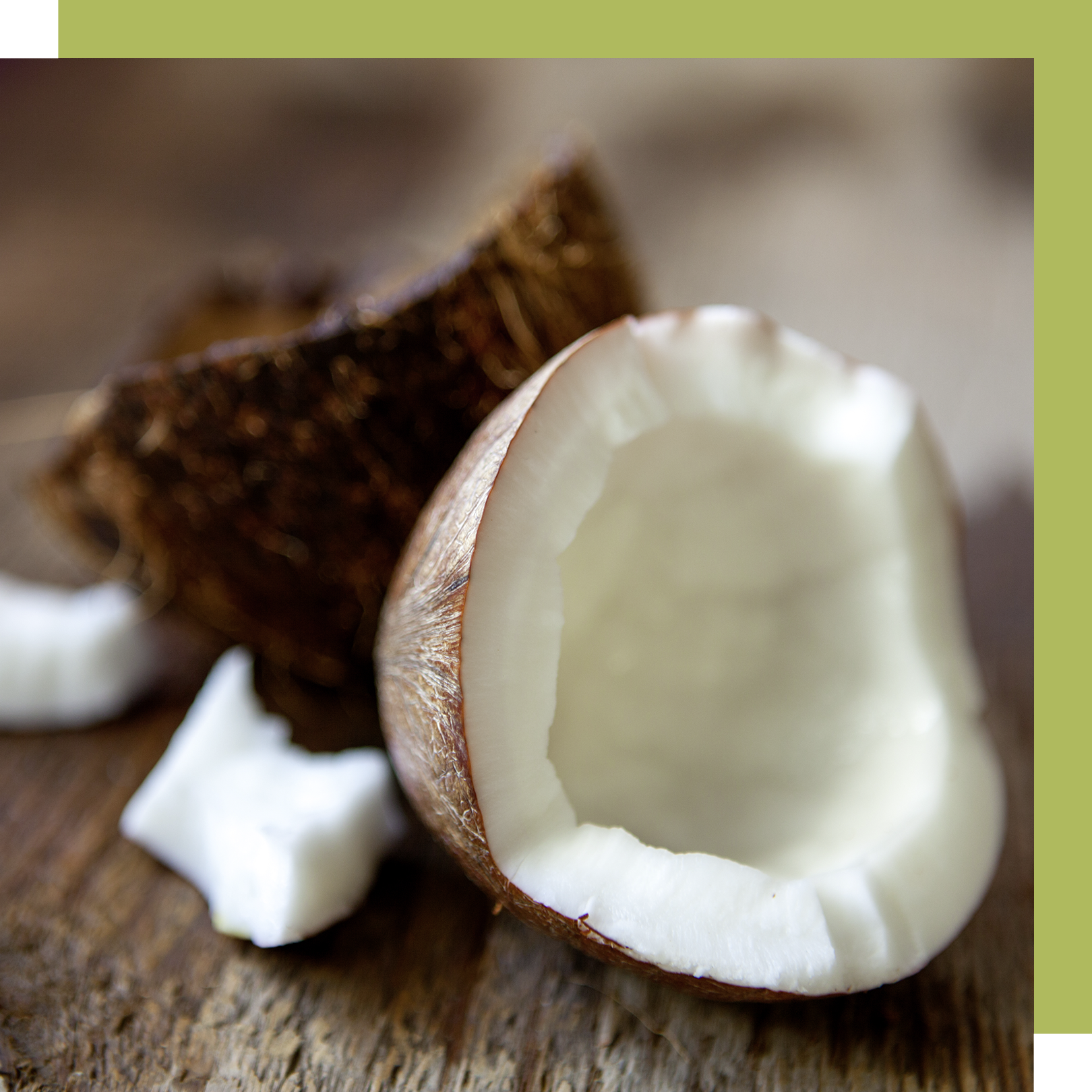 coconut curls products