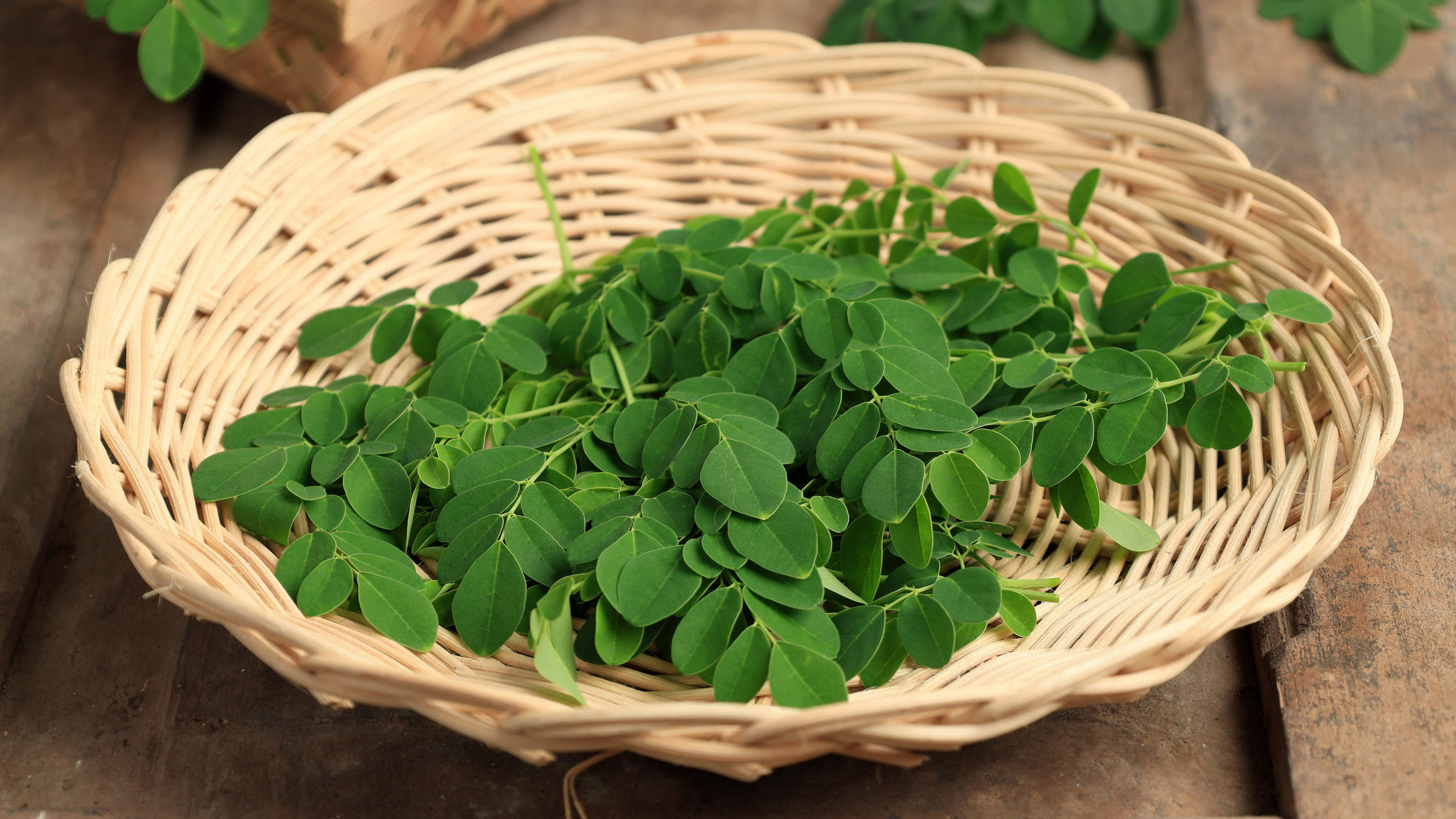 Fresh Leaves