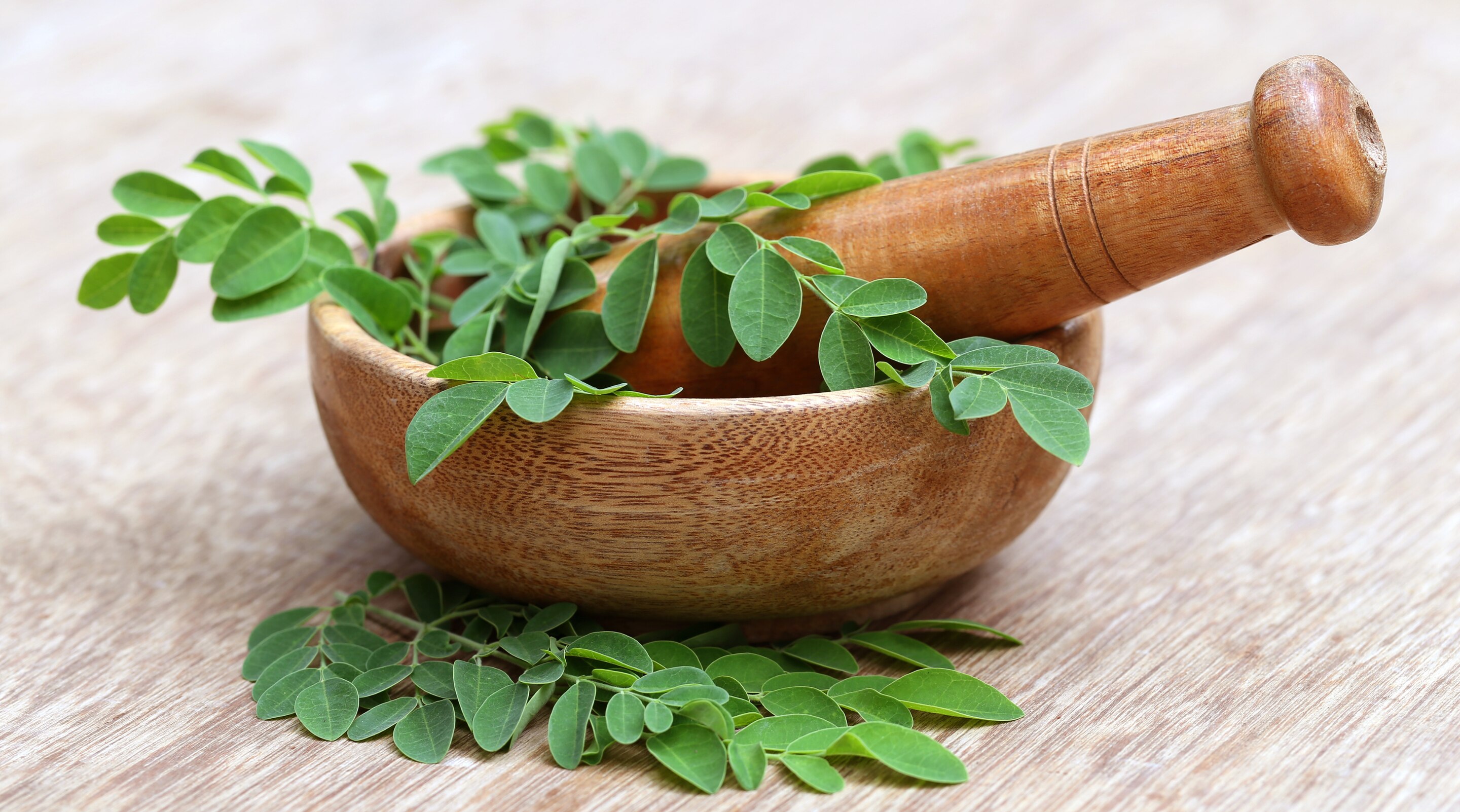 Moringa Leaves Benefits Nutrition Facts and How to Use