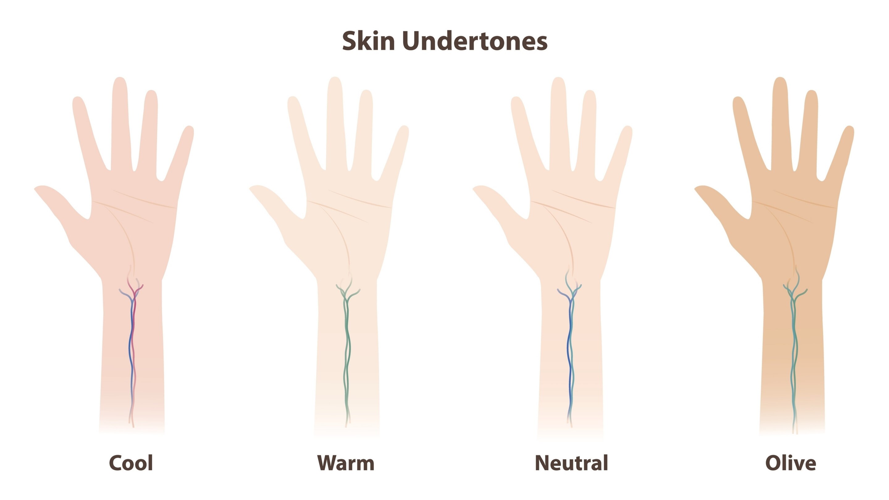 1. Vein Test: