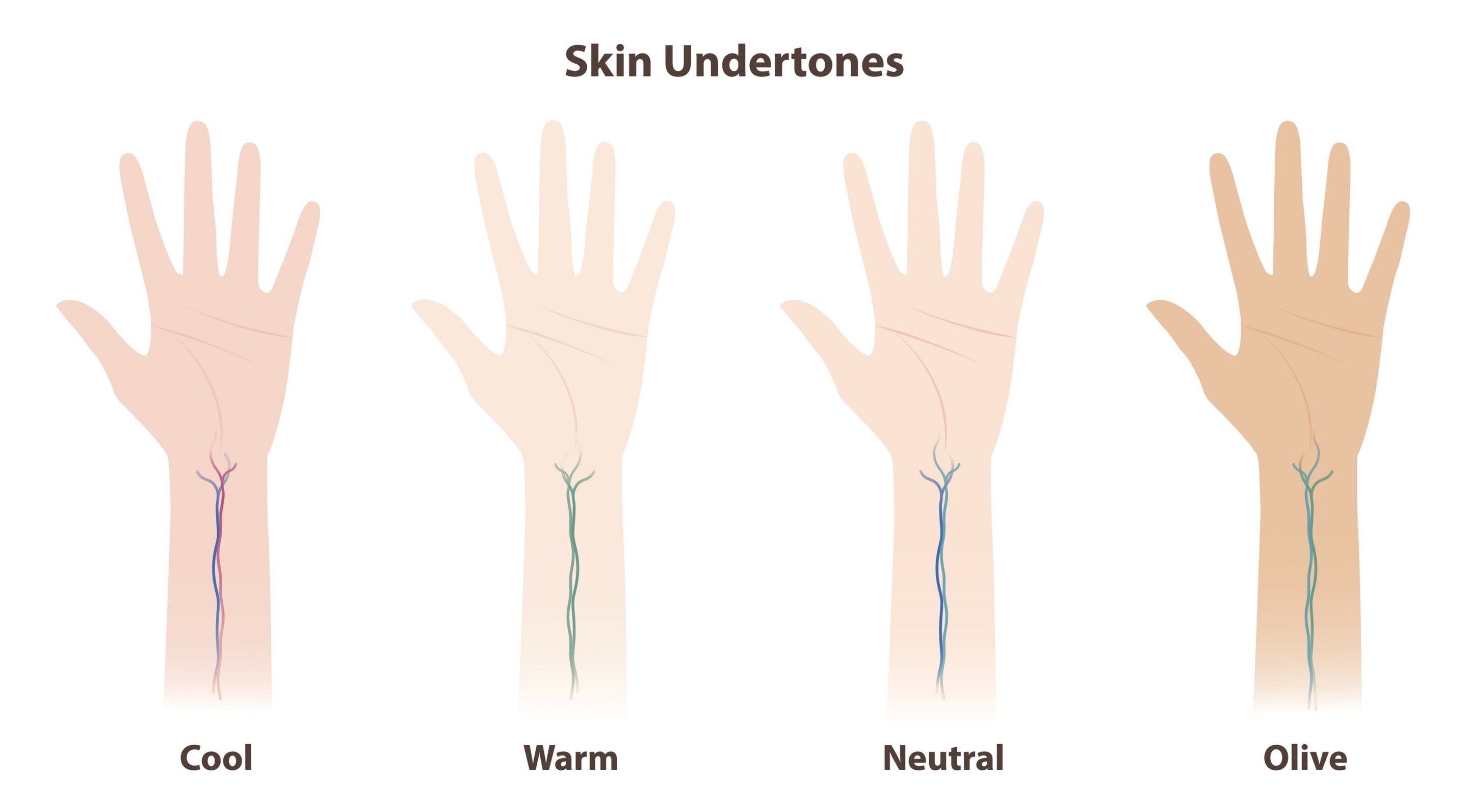 1. Vein Test: