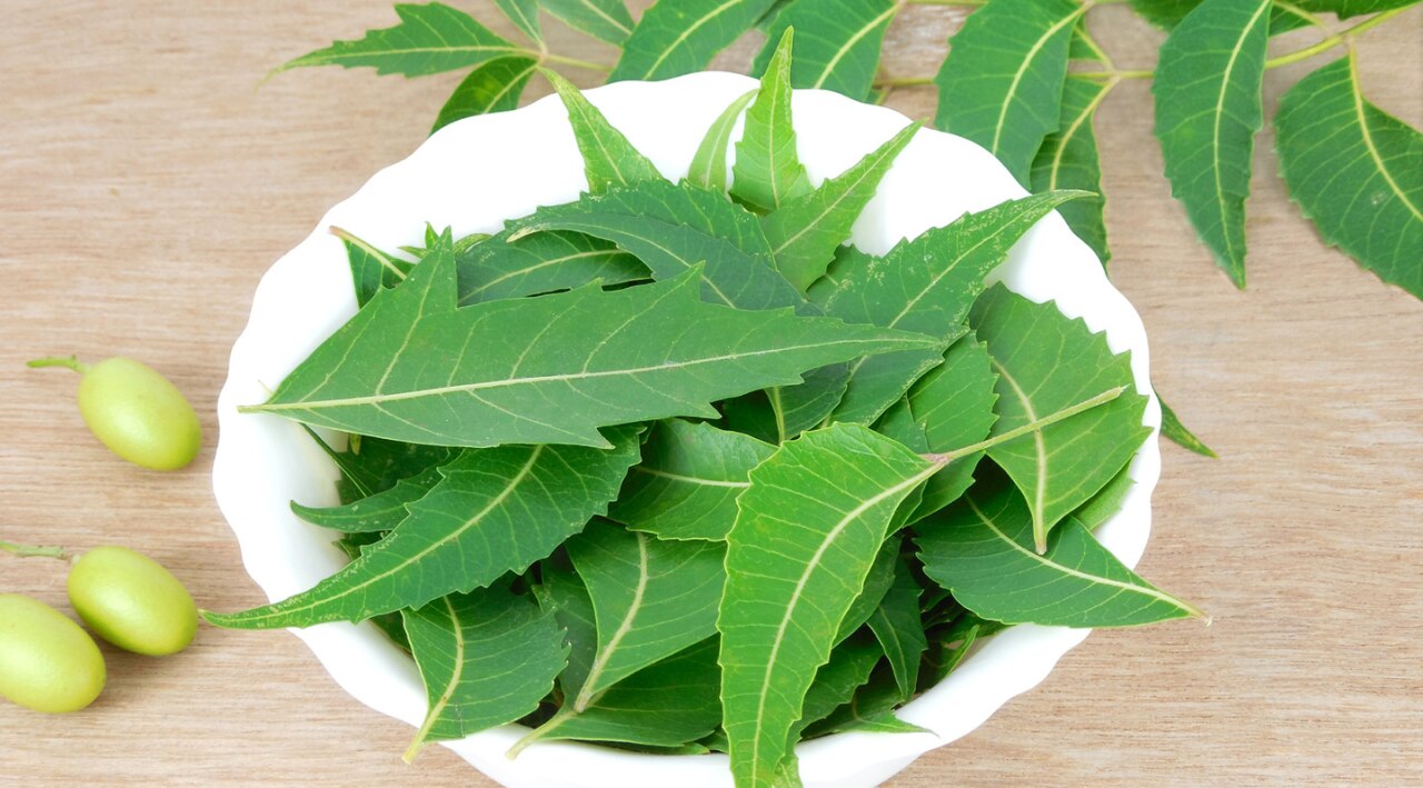 How to Make Neem Oil for Hair Growth