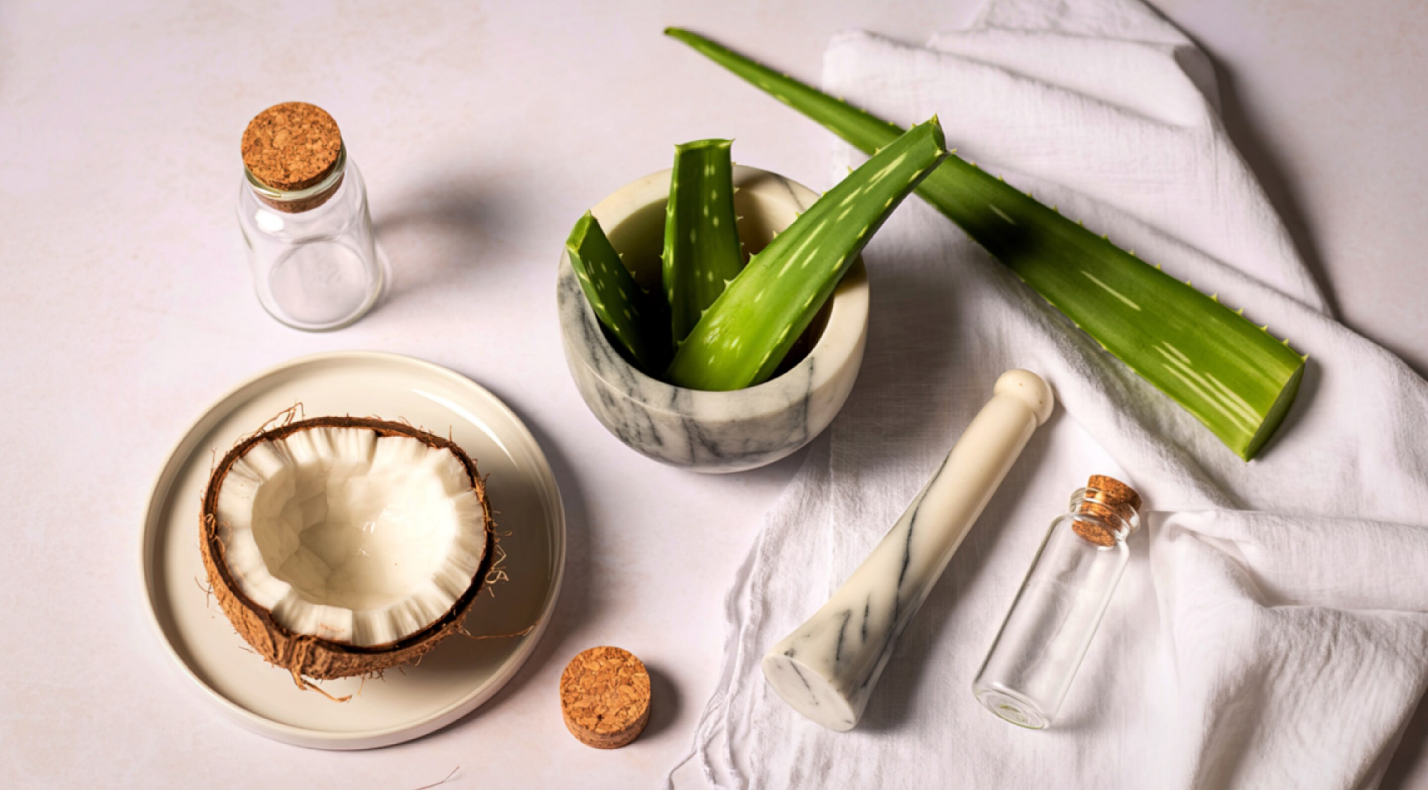 2. Aloe Vera and Coconut Oil Treatment
