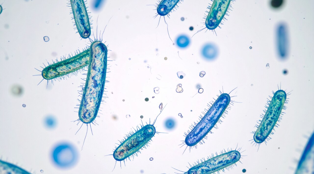 3. Contains natural antibacterial properties: