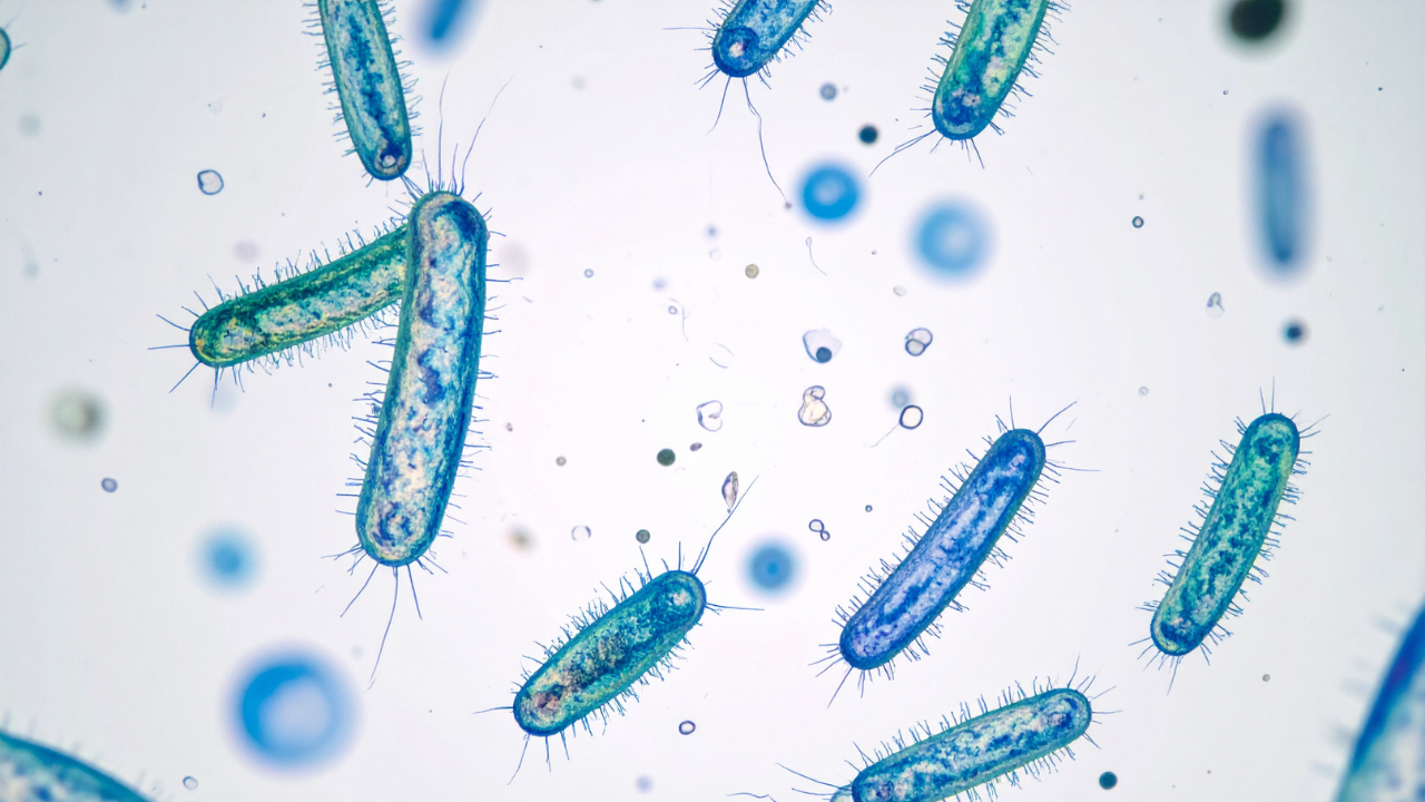 3. Contains natural antibacterial properties: