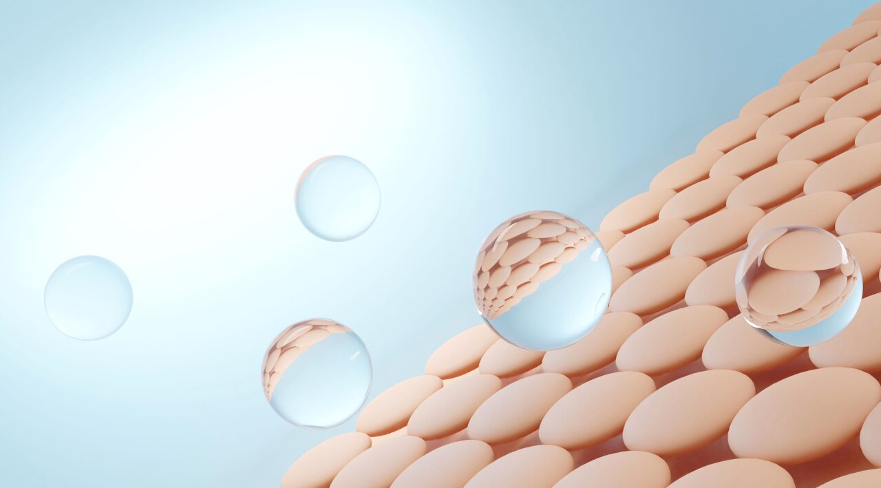 2. Supports the skin barrier: