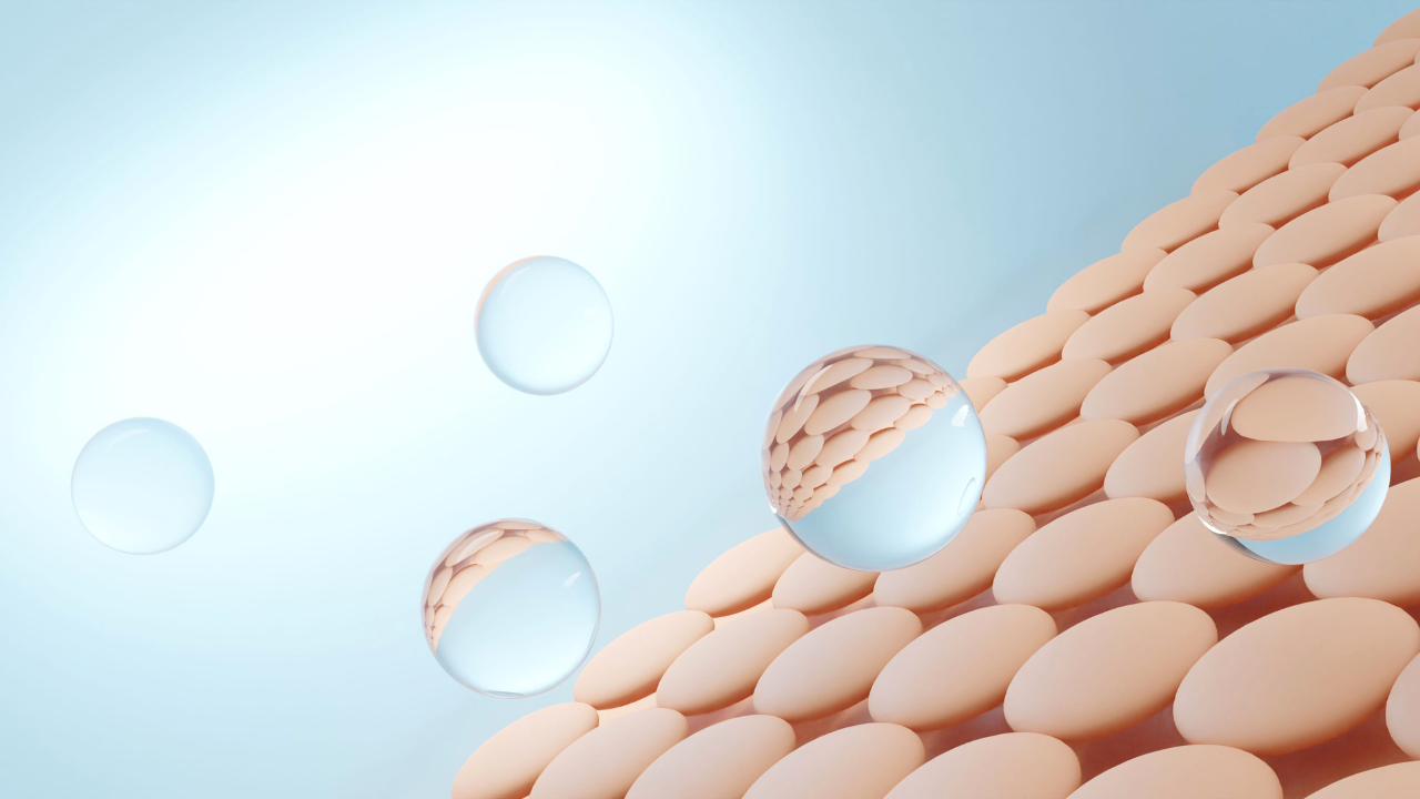 2. Supports the skin barrier:
