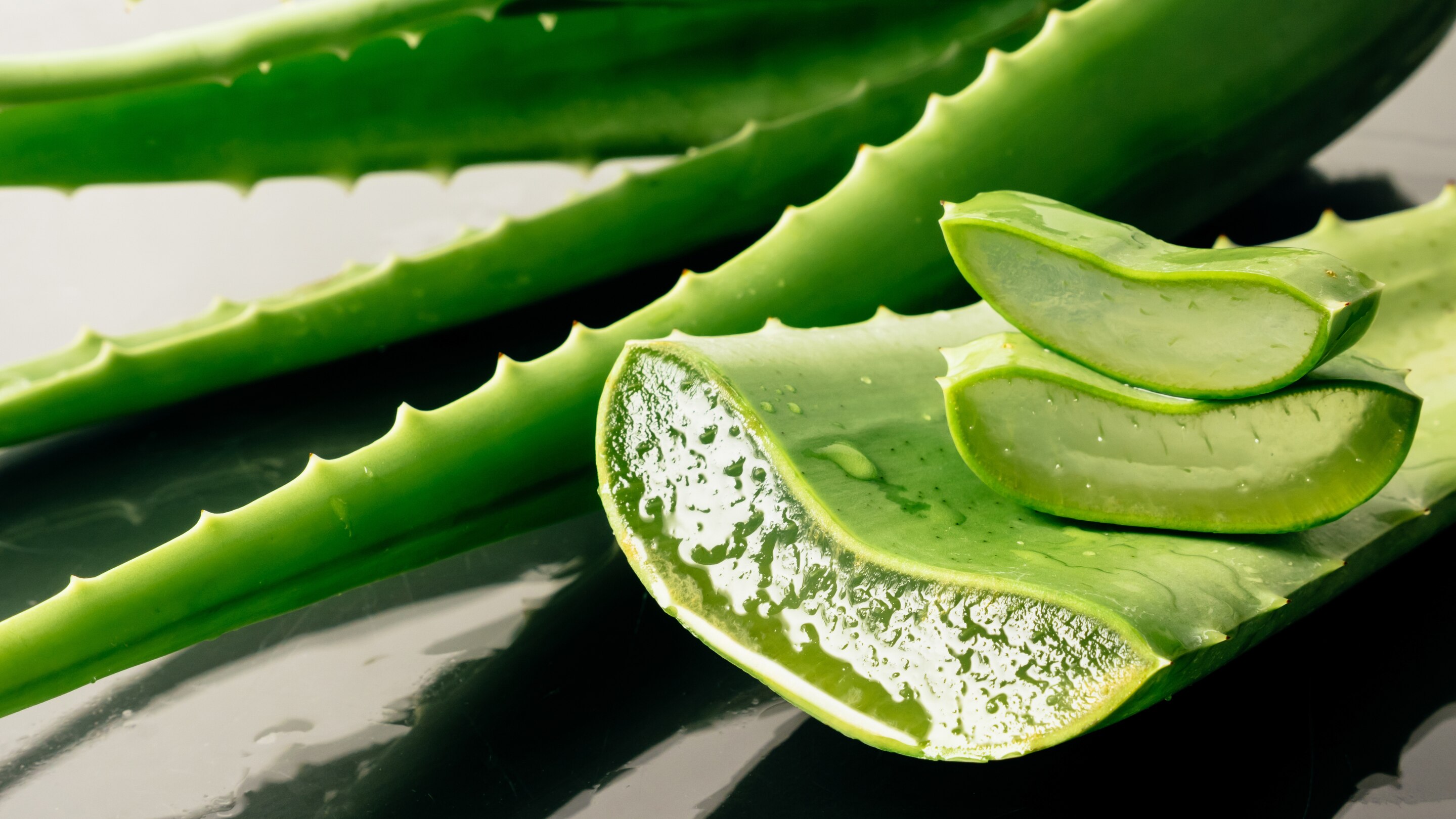 Aloe vera provides: