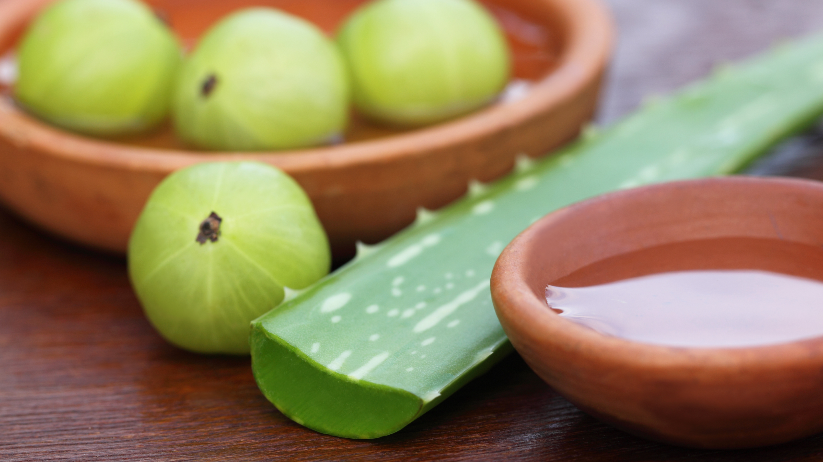 Nutritional Value of Amla and Aloe Vera