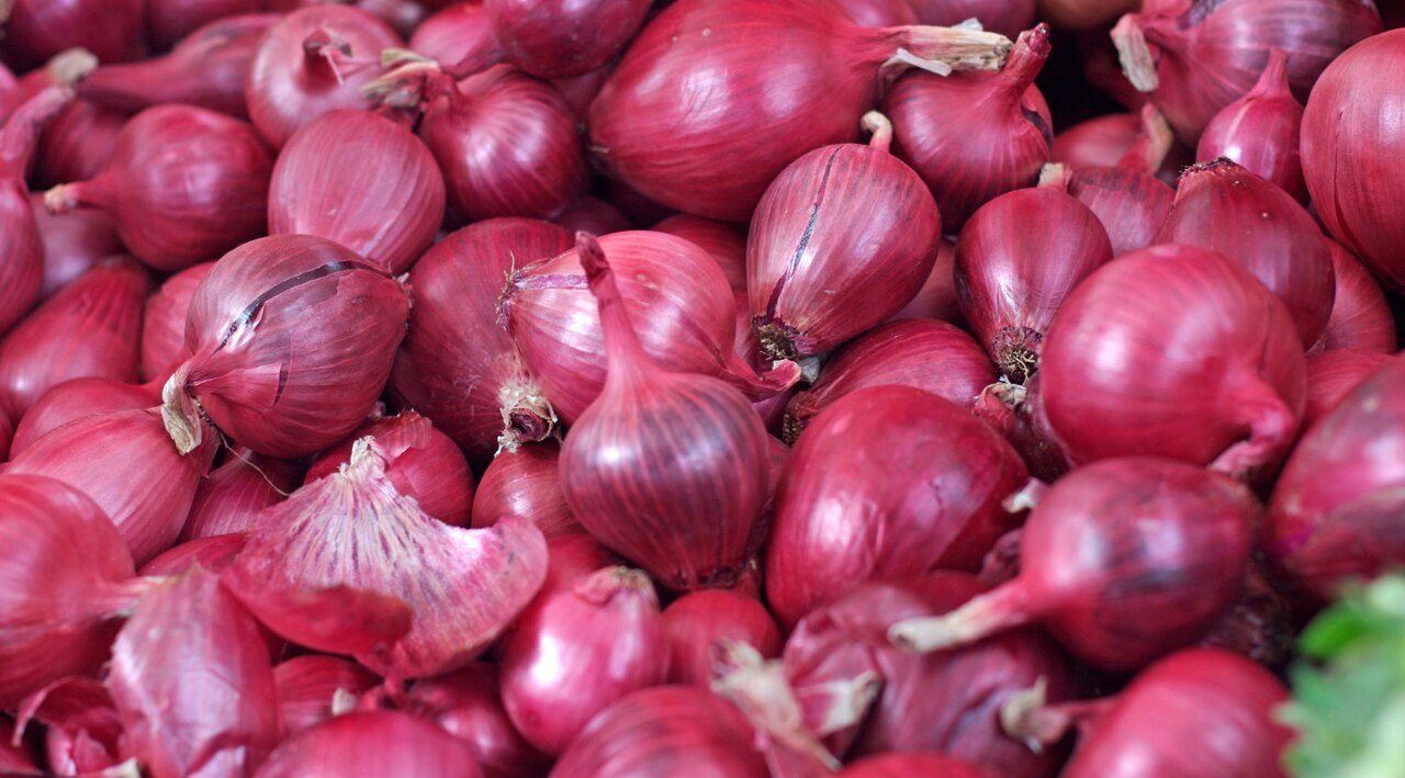 Key Benefits of Onion Juice for Dandruff