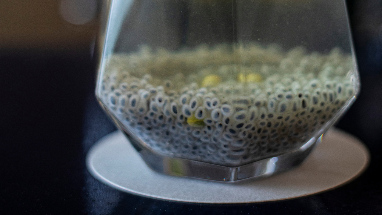 Step 6: Final Soaking