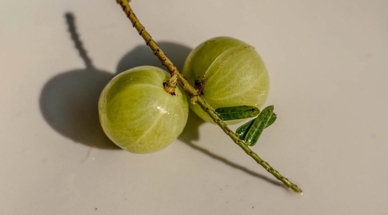 4. Bhringraj Oil and Amla Hair Treatment