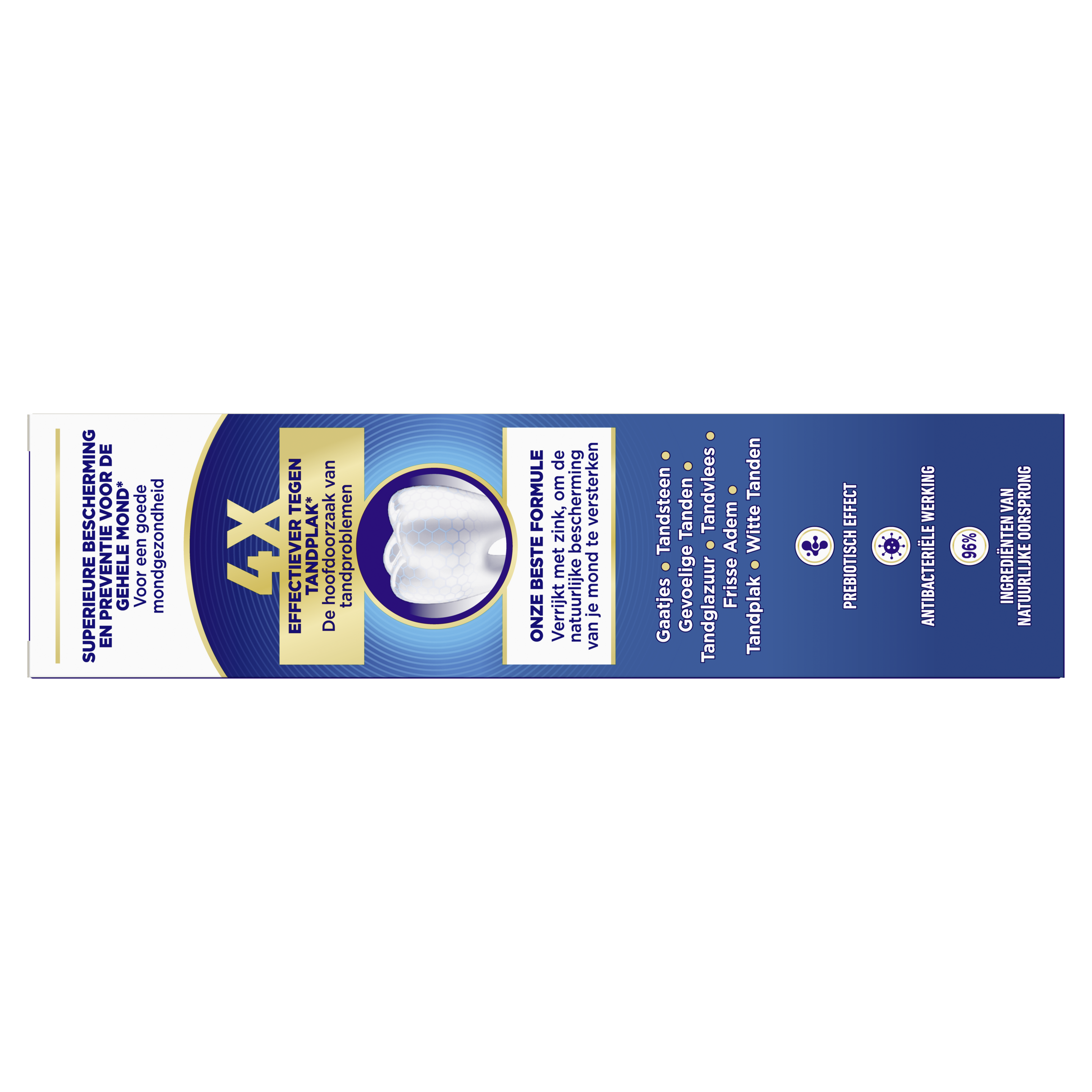 Prodent Wit + Fris Expert 75 ml - Achterkant folding box