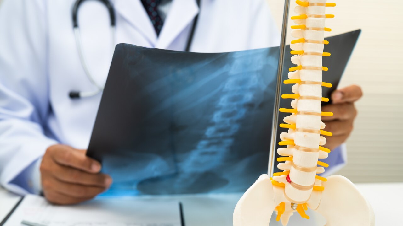 Promotes better bone health: