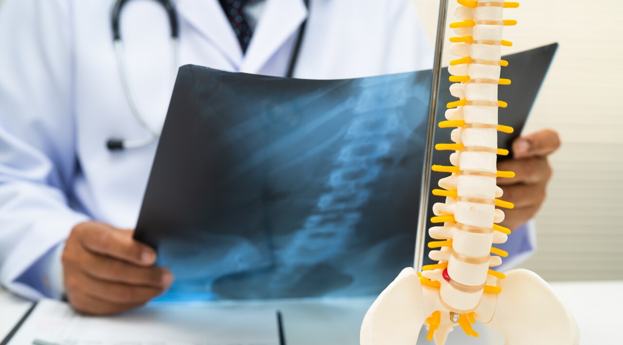 Promotes better bone health: