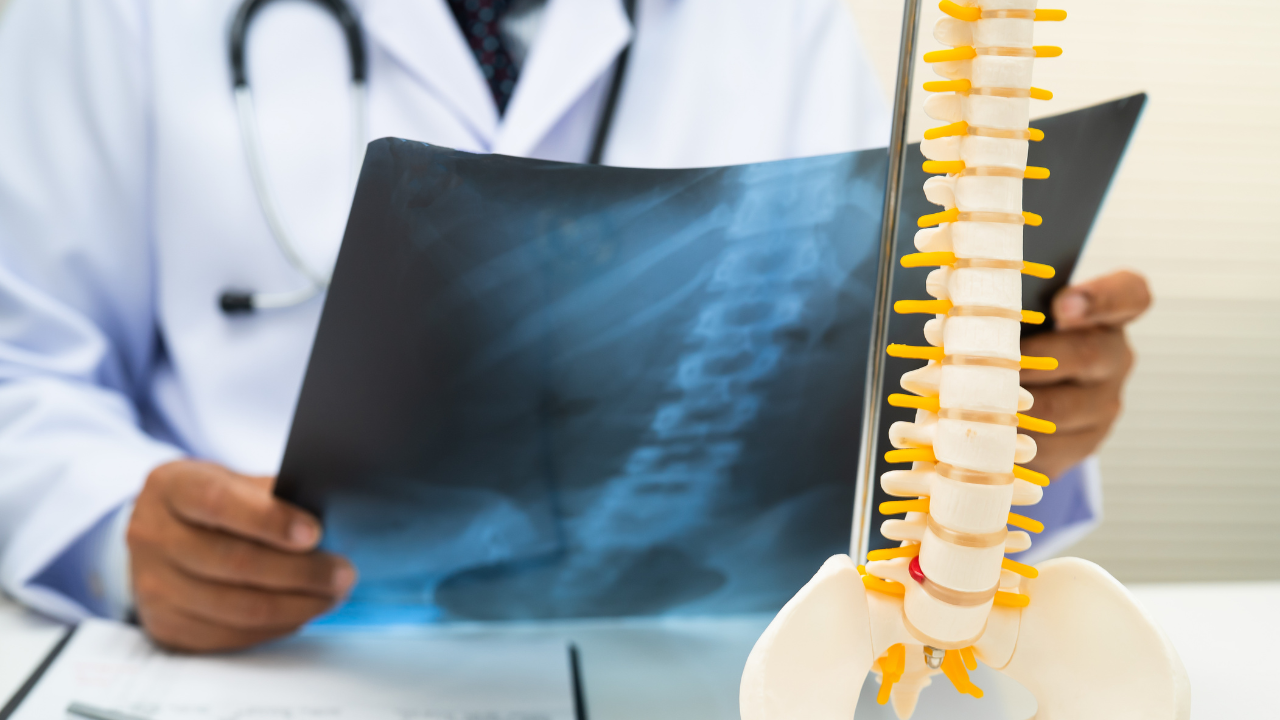 Promotes better bone health: