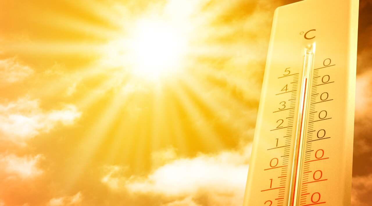 8. Natural Sun Protection