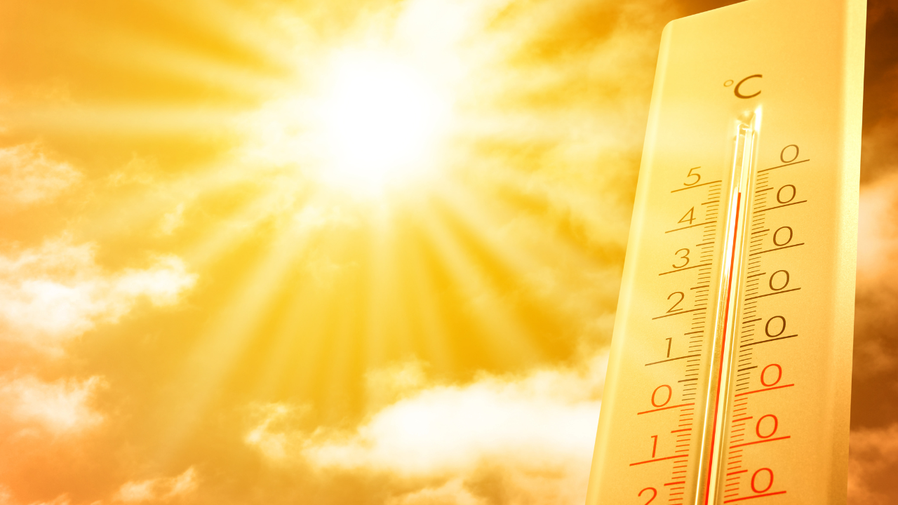 8. Natural Sun Protection
