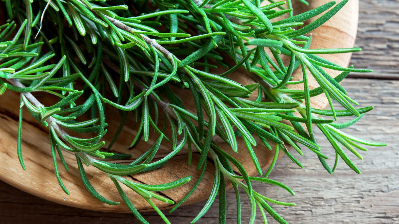Who Should Avoid Rosemary