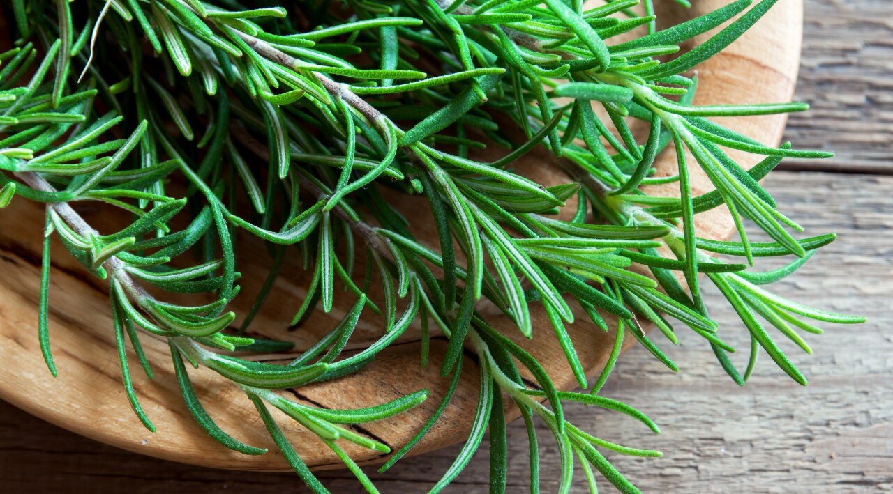 Who Should Avoid Rosemary