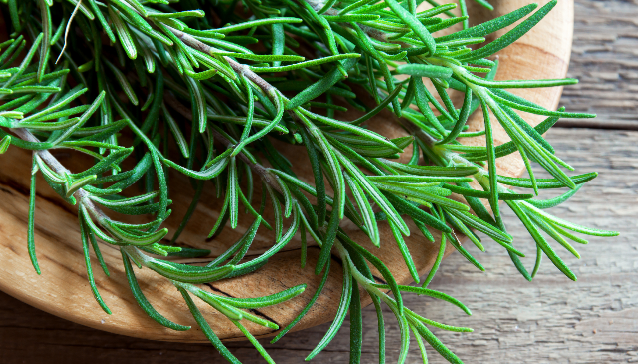 Who Should Avoid Rosemary