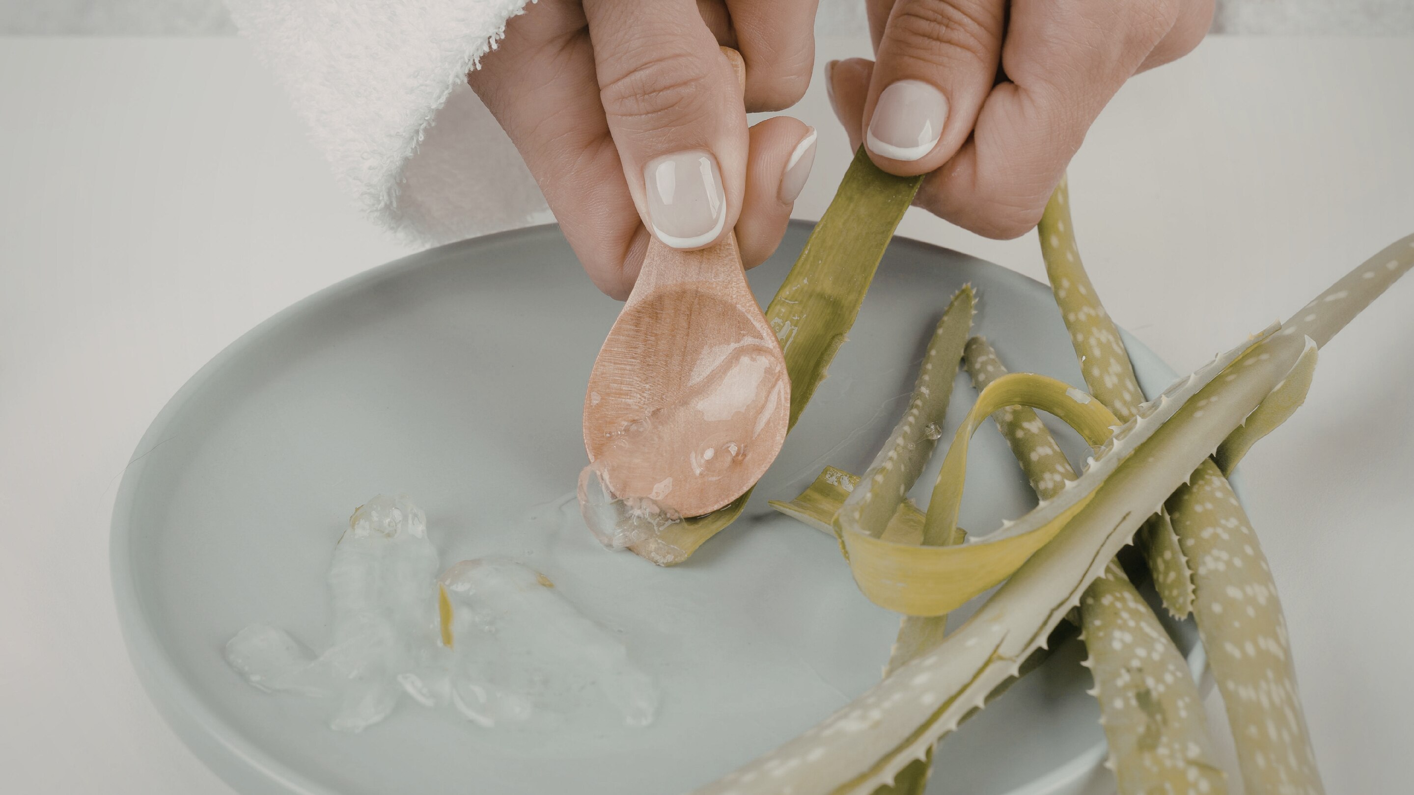 1. Aloe Vera Gel Pack