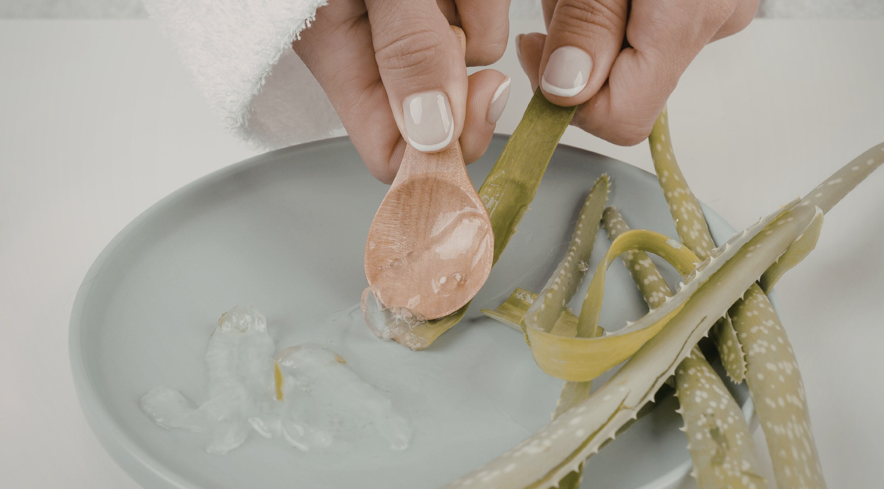 1. Aloe Vera Gel Pack