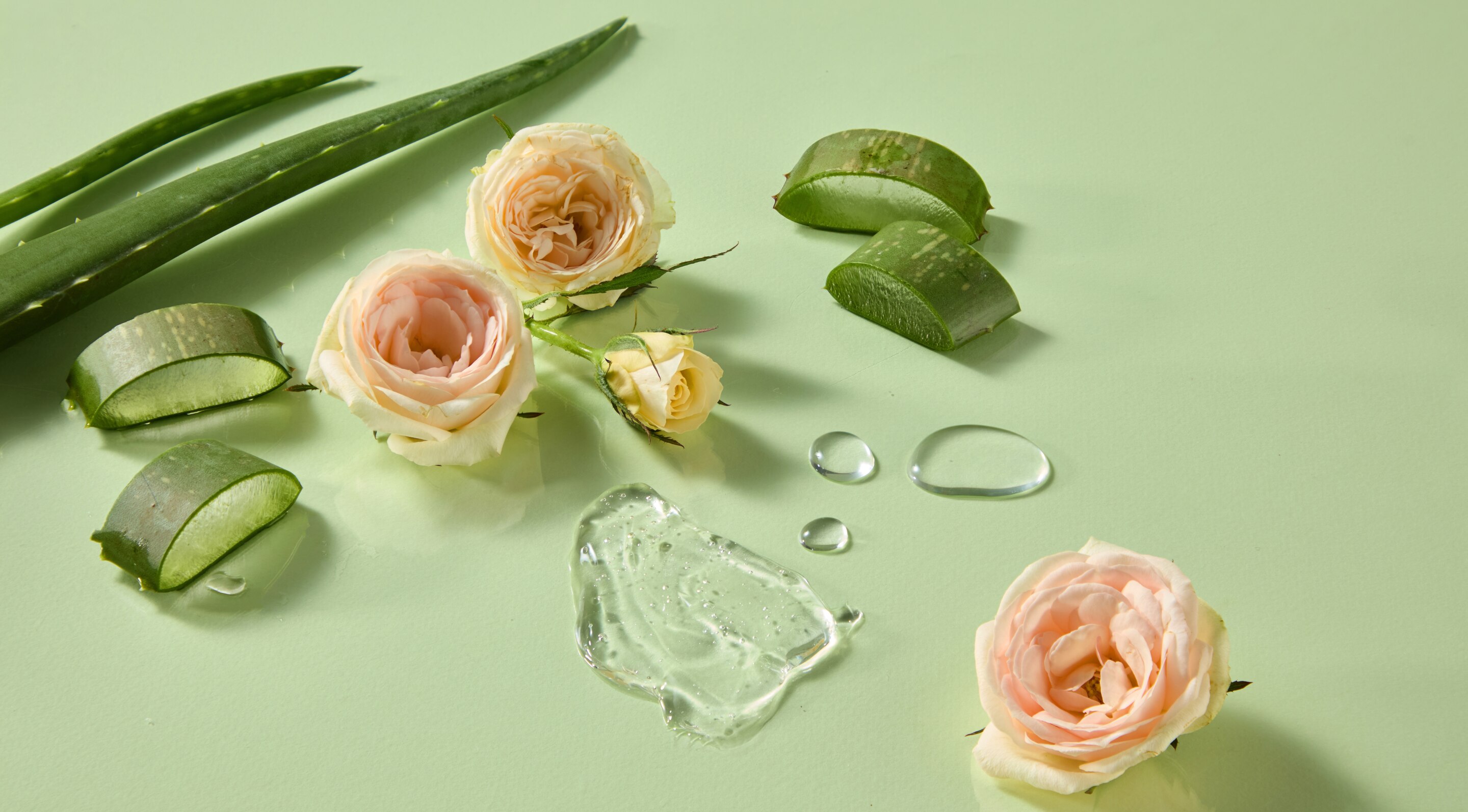 3. Aloe Vera & Rose Water Pack