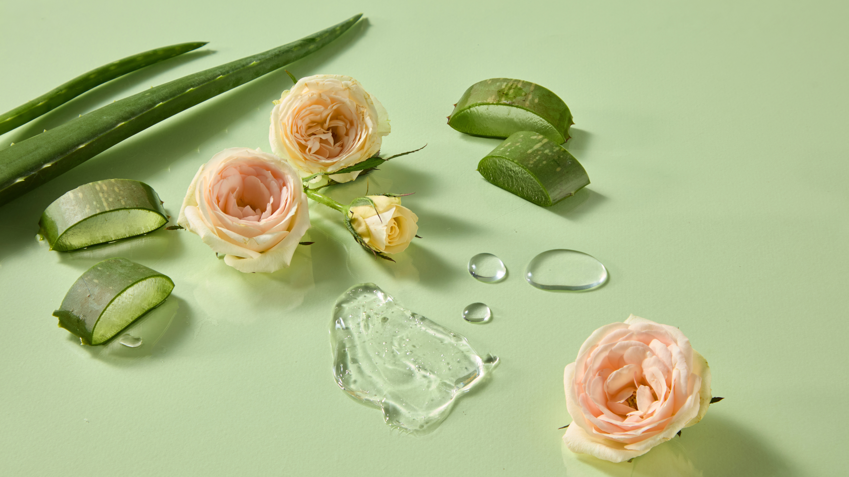 3. Aloe Vera & Rose Water Pack