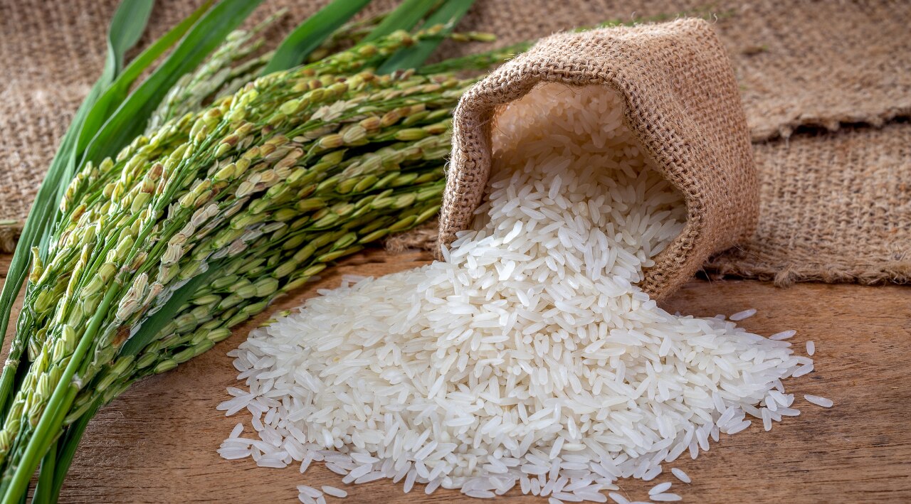 Tips to Maximise Rice Water Benefits