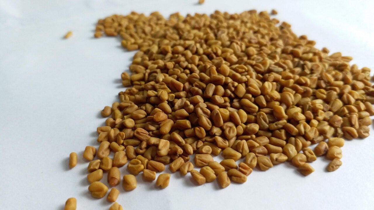 Possible Side Effects of Fenugreek Water